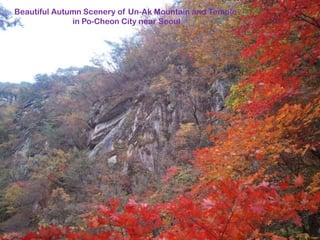 Beautiful Autumn Scenery of Un-Ak Mountain and Temple  in Po-Cheon City near Seoul 