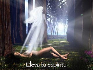 Eleva tu espíritu