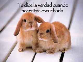 Te dice la verdad cuando necesitas escucharla