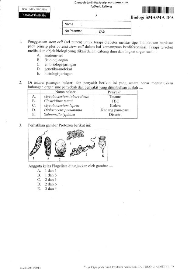 Soal Un Bio 2014 Penggunaan Di Antara Perhatikan