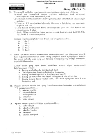 DOKUN{EN NL,GAI{A
D iund u h da ri http ://urip.word press.colm
fb@urip.kalteng
llilfi lilllll illl lll llllllr lil lill llll lllt
Biologi SMA/MA IPA
36. Beberapa ahli rnelakr-rkan pcrcobaan untuk menrbuktikan tcori asal-usul kchidupan:
( 1) Antoni van Leuwenhook dengan pcnemllan mikroskop r-rntuk mengamati
mikroorganisrnc dalam air renclaman jeran-ri
(2) Spallanzanr rrrembuktikan bahr,va mikroorgernisme clalam air kaldu tidak tcrjadi dcngan
sendirinya
(3) Irranscesco Redi membuktikan bahrna ulat tidak muncul dari daging yang membtrsuk.
tetapi dari telur lalat
(zl) Louis Pasteur membuktikar-r bahwa mikroorganisme pada air kaldu berasal dari
mikroorganismc di udara
(5) Stanle.v Miller membtrktikan bahw'a scnya'vva organik clapat terbentttk clari Cf{4. Nllr.
II20, dar-r [{: di lr-rar tubr-rh organisme.
Simpulan percobaan yang berlawanan deugan teori etbiogenesis aclalah ...
A (l) dan (2)
B (l) dan (a)
C. (2) dan (3)
D. (3) dan (5)
tr (a) dan (5)
37. Tahun 1926 Muller melakukan eksperimen terhadap lalat buah yang clipengarr.rhi sinar .X.
Hasil eksperimel memunculkan variasi fenotip yang tidak pcrnah di.iumpai pada p<-rpulasi
liar, seperti individr-r tanpa sayap dan bersayerp melcngkung yang nlamptl membentuk
populasi di laboratorium.
Apakah alasan yang tePat bahwa eksperimen tersebut dapat mempengaruhi
keberlangsungan evolusi ?
A. Fenotip tersebut bersifat steril dan tidak stabil.
B. Terjadi perubahan fenotip akibat desakan lingkungan.
C. Fenotip tersebut hanya munculjika dipengaruhi sinar X.
D. Fenotip tersebut di alam tidak adaptif sehingga tidak lolos seleksi alam.
E. Fenotip tersebut hanya berubah sesaat. ketika tidak dipengamhi sinar X akatr
kembali normal.
38. produksi antibiotik penisilin oleh kapang Penicillirun notcrtttm dalam skala besar pada tahttn
1 940 menggunakan teknik . '..
A. rekaYasa genetika
B. teknologi Plasma
C. teknologi hibrida
D. fermentasi
E,. kultur.iaringan
39. Aplikasi rekayasa genetika di bidang pertanian adalah . . ..
A. kultur jaringan
B. teknologi hibridoma
C. teknologi kloning
D. f'ermentasi
E. tanaman transgenik
t4
t _2.('.-201 3/20I 4 '''Ilak {lipta patln Pusal I'cnilrtilut ['cnclidikan-l]il.t I'R.NC-Kl,ll)lKI]t'l)
 