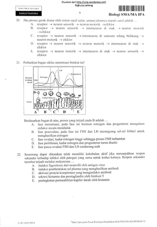 I)OKLJMI]N NECARA
Diund uh da ri http://urip.word press.com
fb@urip.kalteng
L)
I fifi illlill lilfi lil ilililt ilil ililt ilil ffil
gi SMA/MA IPA
sarirt arlalah....20. Jika proses gerak cliatur oleh sistem saraf sadar, urutan.ialan
A. reseptor -> neLlron sensorik -> ncuron rnotorik
B. reseptor -+ neuron scnsorik *+ interncuron
Biolo
n1,'a inlpuls
+ eiektor
di otak -) ncLrron rnotorik
-> efektor
C.reseptor_+neuronsensorik-+internetlrOndiSun1SLln1tulangbelirkang_>
neuron motorik *+ efektor
D. reseptor -+ nellron sensorik -) neuron motorik -) interneuron di otak -)
elcktor
efektor
21. Perhatikan bagan siklus menstruasi berikut ini!
Berdasarkan bagan di atas, proses yang terjadi pada B adalah ....
A. fase menstruasi, pada fase ini hormon estrogen dan progesteron mengalarni
reduksi secara mendadak
B. fase praovulasi, pada fase ini FSII dan LH merangsang sel-sel lblikel untuk
menghasilkan estrogen
C. fase ovulasi, kadar estrogen tinggi sehingga proses FSH terhambat
D. fase proliferasi, kadar estrogen dan progesteron turun drastis
E. fase pasca ovulasi FSH dan LH cenderung naik
22. Seseorang dapat dikatakan telah memiliki kekebalan aktif jika menunjukkan respon
sekunderlernadap infeksi oleh patogen yang sama untuk kedua kalinya. Respon sekunder
tersebut terjadi melalui mekanisme ....
A. induksi fagositosis dari neutrofil oleh antigen virus
B. induksi pembentukan sel plasma yang menghasilkan antibodi
C. aktivasi protein komplemen yang menginduksi antibodi
D. sekresi histamin dan prostaglandin oleh limfosit T
E. peningkatan permeabilitas kapiler darah oleh histamin
llormon
di dalam
da rah
t)-7-C.-2013120I 4
t<'Hak
Cipta pacla Pusat Psnilaian Pcnclidikan-B,'l.lTIlANC]-KElvll)lKIlt
jl)
 