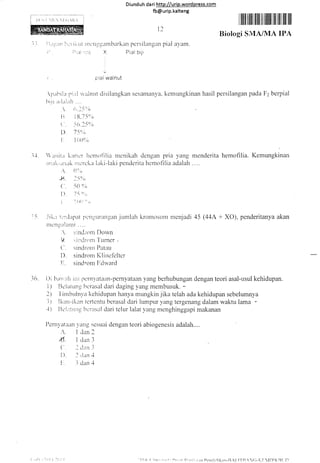 Diund uh da ri http://urip.word press.com
fb@urip.kalteng
I fiil ilffiil tilfi ilt ililil| lllt lllll llll llll
Biologi SMA/MA IPA
1',,":i i i., iit nrrrrlggarnbarkan persi langan pial avarn.
i:)i.:11 ri-r3 X. Pial bili
rrrai wainut
ir;lirilu r.i;:l ri'alnrrt clisilangkan sesarnanya, kernungkinan hasil persilangan pada F2 berpial
l-ritr liriai;rir..."
 j -r:i'
 t'.-1,'o
Ii i 8.75e';
( -ii,r.J59/o
I ) J'5",'i
I iirt)(lo
l-1. 'lrri"i.r liaricr hcrnofilia nrcnikah clengam pria irang menderita hemofilia. Kemungkinan
;r r"r.ii.. - ari.il< i ii.-'rc lia laki - lriki penderi tii hemo fl lia adalah . . . .
:. ()'1,,
*4 " l5'1,,
(.. .--.0
0,,;
Il 1 {}""
I I { }(r i)
,r
r-i .ii1.,;i ti:rila;rat lrcngrrrulngan jurnlah kronrr-rsonr ntenjadi zl5 (11A + XO), penderitanya akan
Iilcilgrtlrriiti ....
 sincli'otn Dorvn
i .;il:clrrm -l'urncr,
('. sttrc[rotn Pat:rtt
D. sindrontKlincf'eltcr
Ir. sindrcltu irclw'ard
16. i-)i trlr, ;ili irii pcrnyateian-pemyataan yang berhubungan dengan teori asal-usul kehidupan.
1 I IJuiatrrns trcrasal clari claging yang mernbusuk. -
2l 'l'inrbulnva
kehiclLrpan iranya mungkin jika telah ada kehidupan sebelumnya
i) [kun-ikan tcrtcntu berasal dari lumpur yang tergenang dalam waktu lama
-l) Ilcl;:tili1g l'rc:nsal clari telur lalat yang ntcnghinggapi makanan
ilcrnl'ataiut vilng scsuai dengan teori abiogenesis adalah....
.,. 1 .1an 2
tl. I Can l
('. .l t!;rrt l
I) l dan .i
l:. i dan .1
t2
I J'ti' ('ir^rt'r 'r'r,l ,irrn [rr-'nrli,]iklr,,-ll,l I'l B 11)lK Ilt'n
 