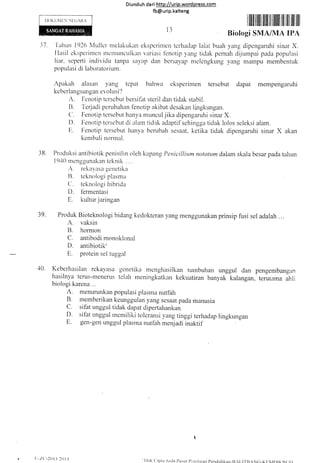 Diunduh da ri http://urip.word press.com
fb@urip.kalteng
DOKL]iIlEN NEG,.UtA
I tffi illilil ilIil ilt ilililt lil ililt iilr flr
l3
Biologi SMA/MA IPA
3l 'l'altutt
1926 I4ullcr nrelakukan eksperinren terhadap lalat buah yang dipengaruhi sinar X.
IIasil eksperirnen Incntunculkan variasi t'enotip yang tidak pernah dijurnpai pacla populasi
liar, seperti indi.,'iclu tanpa sayap dan bersayap melengkung yang mampu membentuk
populasi di laboratorium.
Apakah alasan yang tepat bahwa eksperimen tersebut dapat mempengaruhi
keberlangsungan evol usi'/
A. Ircnotip tcrsebut bersifat steril dan tidak stabil.
B. 'l.eriadi pcrubahan l-enotip akibat desakan lingkungan.
(1. Fenotip tersebut hanya nruncul jika dipengaruhi sinar X.
D. Irenotip tersebut di alarn tidak adaptif sehingga tidak lolos seleksi alam.
f. Fenotip tersebtrt hanya benrbah sesaat, ketika tidak dipengamhi sinar X akan
kenrbali normal
38. Produksi antibiotik penisilin oleh kapang Pe nicillium notatum dalam skala besar pada tairurr
1940 rnengglrnakan teknik .'. ..
r. rekay'asa genetika
tl. teknologi plasrna
C. teknologi hibrida
D. t-ermentasi
Lr. kultur jaringan
39. Produk Bioteknologi bidang kedokteran yang mengglrnakan prinsip fusi sel adalah .. .
A. vaksin
B. hormon
C. antibodi monoklonal
D. antibiotik'
E. protein sel tuggal
40. Keberhasilan rckayasa gcnetika mcnghasilkan turnbuhan unggul dan pengernbangi.in
hasilnya terus-ntenerlls telah rneningkatkan kekuatiran banyak kalangan, terutama ahlj
biologi karena ...
A. menurunkan populasi plasnra nutfbh
B. memberikan keunggula, yang sesaat pada manusia
C. sifat unggul tidak dapat dipertahankan
D. sifat unggul rncrniliki tolcransi yang tinggi terhadap lingkungan
E. gen-gen unggtrl plasr,a nutfah menjadi inaktif
t
'llak ()iptit plda Pusat ['cniiaian Pcnclir]ikan-11,,l.l'l-llANG-KI.lvlI)lKRr tr)
l)-/('-20 t-t 2()t4
 