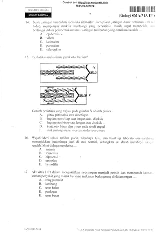 rl
Diund uh da ri http://urip.word press.com
fb@urip.kalteng
I lllll llillli lllll lil iilllli iili iilii illl llli
Biologi SMA/N{A II),
t4. Suatu jaringan tumbuhan rnemiliki sifat-sifat: rnerupakan jaringan dasar. tcrsusLut ,i ,;'r
hidup. rnernpunyai struktur niorfblogi yang bervariasi, masih dapat n)e lnhi.:i;ri:.
berliutgsi dalarn pcrnhcntukan tur-ns. .laringan turnbuhan )'ang dimaksucl adalah ....
A. epide'nnis t
B. xilern
C. kolenkinr
D. paretrkiur
E. sklercnkin-r
Perhatikan nrekanist'ne gcrak otot berikut!
Contoh peristirva vans tcrjacli pacla ganrbar X adalah proses ....
A. gerak peristaltik otot oesofhgus
B. bagian otot triscp saat lengan atas ditekuk
C. bagian otot hisep saat lengan atas ditekuk 
D. kerja otot biscp dan trisep pada sendi engsel
11. otot.jantung menerima cairan c-lari panl-panl
16. Wajah lvleri selalu teriiliat pucat. tubuhnya lcsu, dan hasil Lrji laboratorium iiaralln,r
menunjukkan leukositnva iauh di atas normal. sedangkan sel darah rneralinva :;.i;r,-r-ii
rendah. Meri diduga rnenderita ....
A. anernia
B. leuker-n iir
C. hipotensi - ,
D. embolus
E. hernofilia
17. Aktivitas HCI dalam mengaktifkan pepsinogen menjadi pepsin clan membunuh kurrnr.,-
kuman penyakit yang tnasuk bersama makanan berlangsung di daiam organ . . ..
A. rongga muiut
B. lambung
C. usus halus
D. pankreas
E. usus besar
l-5
)-Zl:-21) I 3,20l4 'llak tiipta paila I'tisal I'cnilaran I,cndidikan-llAl,lII],'N(i-Kl,ll)il..rr,r,
 