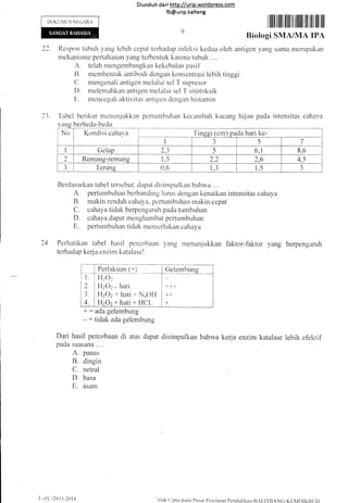 DOK LJI'l ir N N t'.(iAR,
Diund uh da ri http://urip.word press.com
fb@urip.kalteng
I tilll ilililt ilil ilt ililill ilil ilill lllt ffit
Biologi SMA/MA IPA
22. Respon tr-rbuh ,'ang lebih ccpat terhadap inf-eksi kedua oleh antigen yang samer mcnrpakan
nrckanisme pertahanan yang terbentuk karena tubuh ....
A. telah mengembangkan kekebalarn pasif
tl. mcmbentuk antibocli ciengan konscntrasi lebih tinggi
Cl. nlengenali antigen melalui sel T supresor
D. melellahkan antigen nrelalui sel
'f sitotoksik
ir. ntcnccgah aktivitrrs antigen clcngan liistzulin
,) I'abcl berikut nlcnunjukktn pcrtumbuhan kccambah-kacang hijau pada intensitas cahava
yarlg berbeda-bec1a.
r-N;-T- (;;lsi caha
L_l ___rl3ls__]-- 7-
L_t_l csUp I 2r r_ 5 I o,t I___ s I
1A
LN
2 | Rernang-rernang I 1.5 I 2.2 | 2,6 I 4,5
3 | 'ferang I 0"6 I 1,3 I 1.5
Berdasarkan tabel tersebut. ciapat clisirnpulkan bahw,a ....
A. perturnbultarn berbanding hirus dengan kenaikan intensitas cahaya
B. makin rendair cahay'a. pcrtunrbuhan rnakin cepat
C. cahaya tidak berpengaruh'pada tumbuhan
D. cahaya dapat menghambait pertumbuhan
E. pertumbuhan tidak ntentcrlukan cerhaya
Pcrl-ratikan tabel hasii pr:l'cobaan )/ang ntenunjukkan faktor-taktor ,vang berpengaruh
terhaclap kerja cnzim katalase !
+ - ada gelembung
- : tidak ada gelembung
Dari hasil percobaan di atas dapat disimpulkan bahwa kerja enzim katalase lebih efektif
pada suasana ....
A. panas
B. dingin
C. netral
D. basa
E. asan-r
''llak tlipta pada Ptrsat Pcnilaian pcndiciikan-B;LIl'BANC-KIrN/lDlKBtID
 