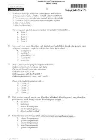 Diund uh da ri http://urip.word press.com
fb@urip.kalteng
15. Ilcrikut ini behcrapa perny'ataan tcrttartg proses nretabolistne:
I. l)cnguriiian sci]y'aa kornplcks rnenjadi senyar,va sederhana
J. Pcri_r u:iirnln :icn ll'il sccicrhana menjadi senyawa kompleks
l. I'cnrl-,airan r;cr]'a'a anorganik mcnjacli senyawa organik
-tr. 1cr]ict"luk.ui cncrgi,'
-5. llcnqhasilkan cnergi
r ililffilIl lllll lll lllllll llll lllll llll llll
Biologi SMA/MA IPA
katabolisrne karbohidrat, lemak, dan protein yang
clalarn siklus Krebs adalah ....
10
i )a r i pt-: r'i r
-r'
itta itt't
A. I clan
B. I cian
(1. 1 dan
I)" 2 clan
E. 2 dan
tcrscbut. )'ang rncrupakan proses katabolisnre adalah ....
2
_)
)
I
5
27. []erikut proscs-proscs )'ang tcrjacli pacla anabolisme :
( 1 ) i)cnlrnbatan karbon clioksida oleh RuRp
(2) I'criadi alirarr elcktron pada fbtosistern
13 ) I)cnrccrrhan molckul air
(4) Ilcnggunaan IYI"P dan NADPI{ ^"
(5) f'}cnangkapan energi caha,va oleh klorofil
Proses reaksi gelap ditr-rnjukkan olch ....
A. (1tdan(4)
B. (2) dan (3)
C. (2) dan (.1)
D. (3) dan (5)
,E. ('l) dan (5)
2lt. Pada respirasi airacrob energi yang dihasilkan lebih kecil dibanding energi yang dihasilkan
pada respirasi acrob. Energi tersebut dihasiikan pada tahapan . ...
.A. glikoiisis
B. fbslbrilasi
Cl piru'r,at dehicirogenase
D. aikohol dehidrogenase
li. ciekarboksilasioksidatif'
)6 5.1i1arva kinria vans clihasilkan olch
selanj utnl'u rllcl]rasuki rangkaian reaksi
',,{. Llsant piruvitt
B" asctii I(oA
Cl. gliseralclchid --3P
D. oksaloasetat
I:. ir:iiinr sitral
,t ^
B.
C.
D.
E.
Irerlyusun molekul DNA adalah pasangan-pasangan basa nitrogen ....
adenin dengan guanirr
guiinin dengan sitosin
adenin dengan urasil
urasil dengan guanin
guanin dengan timin
1. t- /,('-:.0 | I l() I I
 