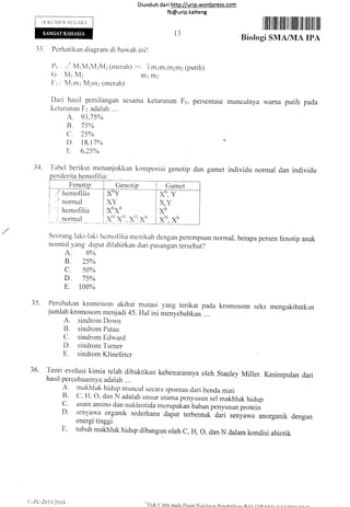 Diund uh da ri http://urip.word press.com
fb@urip.kalteng
I tilt ilffiil ilil lil ltililt til iltil til til
13
Biologi SMA/MA IPA
Pcrhatikan cliaqranr di baw,ah ini!
I'r : C;" ttt 1 NI1 1,113N42 (rncrah) >< ? m 1rn 1rl12trr2 (putih)
(; :iV11 N,l2 rn1 rn2
F r : IVI1m1 M2r112 (merah)
Dari hasil persilangan sesama keturunan Fr,, persentase
kctur-unan I;2 adalah ....
A 93.15%
8.75%
c. 2s%
l). lg,I7oh '
tr. 6.25%
munculnya warna putih pada
-fabel
berikut menunjukkan konrposisi genotip clan gamet individu normal dan individu
perempLlan norrnal. berapa persen f'enotip anak
tersebut?
A. 0%
B" 25%
c. s0%
D. 7s%
E. t00%
rnutasi yang terikat pada kromosom seks mengakibatkan
Hal ini menyebabkan ....
A. sindronr Dorvn
B. sindrorn Patau
C. sindrom Edward
D. sindront Tumer
E. sindrom Klinefbter
36' Teori evolusi kimia telah dibuktikan kebenarannya oleh Stanley Miller. Kesimpulan dari
hasil percobaannya adalah ....
A' rnakhluk hiclup muncul secara spontan clari benda mati
B' C, LI, O. dan N adalah tlnsur utama penyusun sel makhluk hidup
C' asaln anlino dan nukieotida nl..rpukan bahan penyusun protein
D' senyawa organik sederhana dapat terbentuk dari ,.ryu*o anorganik dengan
energi tinggi
E' tubuh makhluk hidup dibangun oleh C, I-I, O, dan N dalam kondisi abictik
1')
-) -1
34.
3,5.
Gamet
Penrbahan kromosom akibat
jumlah kromosom menjadi 45.
"'llak ('inta DAda Pttsat [)t:nilnirn l)nrrrli,{i[-a,.-n l rTI)Arl/-r yr]f,rrr,,nr,^
 