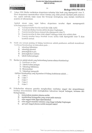 Diunduh da ri http://urip.word press.com
fb@urip.kalteng
ililll ilIilil lril ilt ilililr illl ililt lfi lilt
Biologi SMA/MA IPA
'falrun 1926 Muller rnelakukan el<spcrimen tcrhadap lalat buah yang dipengaruhi sinar X.
IIasil eksperimcn memunculkan variasi fenotip yang tidak pernah dijumpai pada populasi
liar, scperti individu tanpa sayap clan bcrsaryap melengkung yang mampu membentuk
popr-rlasi di laboratoriurn.
Apakair alasan y'ang tcpat
kcbcrlanqsLlnsan evo I trsi ?
bahwa eksperirnen tersebut dapat mempengaruhi
r. Fcnotip tcrscbut bcrsitat steril dan tidak stabil.
B. 'l'eriadi pcrubahan f'enotip akibat dcsakan lingkungan.
(1. ficnotip tersebut hanya rnuncul jika dipengaruhi sinar X.
D. Fcnotip tersebut di alarrr tidak adaptif'sehingga tidak lolos se leksi alam.
F.. Ircnotilt tersebut hanyit bcrubah sesaat, ketika tidak dipengaruhi sinar X akan
kernbali nornral
Salah satrt tenruan pcnting di biclang kedokteran aclalah pembuatzrn antibodi monoklonal.
'i'r'rohosan
[riotcknolosi ini cliclasarkan perdzr ....
A. teknologi hibridoma
B. teknologi plasrnid
C. pencangkokan gen
D. pencangkokan ntrkleus
E. teknik kulturjaringan
Berikut ini adalah teknik yang berkembang karena adanya bioteknologi:
1 ) I'-crtilisasi in vitro
2) I'eknik kultr,rr jaringan
3 ) Teknoiogi hibridorna
4) Bioremediasi
5)T'eknologi transgcnik
;plikasi bioteknologi yang digunakan di bidang kedokteran adalah ....
A. l dan2
B. l dan3
C. 2 dan3
D 3dan.4
E. 4 darr 5
'10. I(cbcrhasilan rckayasa genetika mcnghasilkan tumbuhan unggul dan pengembalgan
hasilnya terus-menerus telah meningkatkan kekuatiran banyak kalangan, terirtama ahli
biologi karena ...
A. menurunkan populasi plasma nutfah
B. memberikan keunggulan yang sesaat pada manusia
C. sifat unggul tidak dapat dipertahankan
D. sitat unggul memiliki toleransi yang tinggi terhadap lingkungan
E. gen-gen u,ggul plasma nutfah menjadi inaktif
11
i8
39.
:(tl. l() l,l '!"ltak (liptti pacla Pusat I)cnilaian I)crrdirlikan-LlAl.ll []ANC-KIrN,ll)lKI]Ul)
 