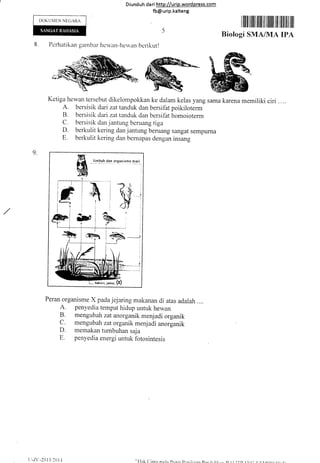 Diund uh da ri http://urip.word press.com
fb@urip.kalteng
DOKUMEN NECiARA
I ilfi ilililt iltil ilt lililt ilil ililt illt ffit
Biologi SMA/MA IPA
8. Pcrhatikan gambar he'uvnn-heu,an berikut!
Ketiga her,van tersebut dikelompokkan ke dalam kelas yang sama karena memiliki ciri
A. bersisik dari zat tanduk dan bersifat poikiroterm
B. bersisik da, zat tanduk dan bersifat homoioterm
C. bersisik dan.jantung beruang tiga
D. berkulit kering dan jantung beruang sangat sempurna
E. berkulit kering dan bernapas dengan insang
1
L
Peran organisme X pada jejaring makanan di atas adalah ....
A. penyedia tempat hidup untuk hewan
B. mengubah zat anorganik menjadi organik
C. mengubah zat organik menjadi anorganik
D. memakan tumbuhan saja
E. penyedia energi untuk fotosintesis
9.
[ ]-z('-2 0 I 3,'l () I ,l
n , ! !'I'n At/i yr.'trlrl.rrr rr-
 