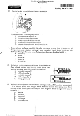 Diund uh da ri http://urip.word press.com
fb@urip.kalteng
I ilfl tillill lilil ilt ililtil til ilil til ilil
Biologi SMA/IUA IPA
13. Gambar berikut menunjukkan sel beserta organelnya.
Pasangan organel X dan fungsinya adalah ....
A. ribosom untuk respirasi sel
B. lisosom untuk pencernaan sel
C. nukleolus untuk pembelahan sel
D. mitokondria untuk sintesis protein
E. nukleus untuk mengatur semua kegiatan sel
14. Suatu jaringan tumbuhan memiliki sifat-sifat: merupakan jaringan dasar, tersusun dari sel
hidup, mempunyai struktur morfologi yang bervariasi, masih dapat membelah, dan
berfungsi dalam pembentukan tunas. Jaringan tumbuhan yang dimaksud adalah ....
A. epidermis
B. xilern
C. kolenkim
D. parenkim
E. sklerenkim
15. Perhatikan gambar mekanisme kontraksi pada otot berikut!
Saat telapak tangan menelungkup maka gerak dan
gambar yang tepat untuk otot pronator terres adarah . ...
A. kontraksi. gambar X
B. relaksasi, gambar X
C. kontraksi, gambar y
D. relaksasi, gambar y
E. sinergi. gambar X
16. Berdasarkan hasil pemeriksaan kesehatan, seorang siswi kelas XII memiliki tekanan darah
150190 mmHg, selang satu minggu masih memiliki tekanan darah yang sama. Siswi
tersebut merasa pusing yang amat sangat. Hasil diagnosis dokter diduga siswi tersebut
menderita....
A. anemia
B. hipotensi
C. hipertensi
D. polistemia
E. jantung koroner
DOKTJMI]N NEGARA
I
| | -'/ (' -2a I I,,',2 () I ;t ('
FJak C i pta pacla P Lrsat Peni l a itrn Pc:nrl irl i kan- II A I-TTB AN C-K II IvI D II(ir l j-.
 