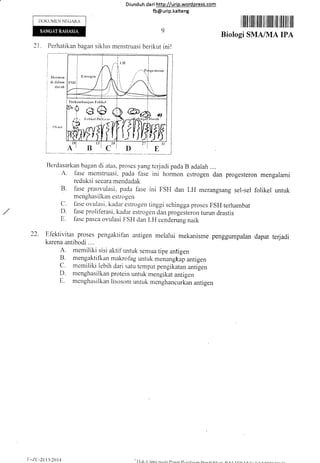 Diund uh da ri http://urip.word press.com
fb@urip.kalteng
DOKtiMEN NITGARA
21 . Perhatikan bagan siklr-rs menstruasi berikut
IIornron
tli dalam
tlanrh
I lllfi llillll lllil llt llililt ilil llilt illl ilr
Biologi SMA/MA IPA
ini!
i
I
I
t_
Berdasarkan bagan di atas, proses yang tcrjadi pada B aclalah ....
,A. I?rse nlenstruasi, pada lase ini honnon estrogen dan progesteron mengalami
reduksi secara mendadak
B fase praovulasi, pada fase ini FSI-I dan LH merangsang sel-sel folikel untuk
menghasilkan estrogen
C. lase ovulasi. kadetr estrogen tinggi schingga proses FSH terharnbat
D. fase proliferasi', kadar estrogen dan progesteron turun drastis
11. fase pasca ovulasi FSFI dan LH cenclerung naik
22. E1'ektivitas proses pengaktifan antigen melalui mekanisme penggumpalan dapat terjadi
karena antibodi ....
A. memiliki sisi aktif untuk semua tipe antigen
B. mengaktifka. makrofbg untuk menangkap antigen
c. rncrniliki lebih dari satu tempat pengikatan antigen
D. menghasilkan protein untuk rnengikat antigen
i:. mcnghasilkan lisosonr untuk rnenghancurkan antigen
DC
I)-/.(:-2(',tI l}ttI4 I) A I t',l'lf Ar/a r'r.f, rr'rr.rrr,'
 