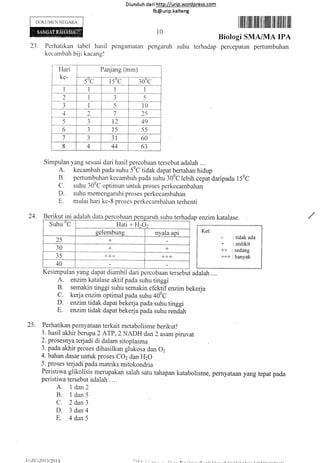 DOKUMEN NEGARA
23. Perhatikan tabel hasil
kecantbal-r b,ji kacang!
Simpulan
A.
B.
C.
D.
E.
24. Berikut ir
llari
ke-
Panjang (mm)
-f-c.-i rst-l---rflal
I I 1
2
1
_1 --1
'')
J I 5 10
-t 1 7 25
) J l2 49
6
1
) 15 55
l a
J 31 60
8 4 44 63
Diund uh da ri http://urip.word press.com
fb@urip.kalteng
I fifi ilffiil ilil til llrilil lil lilililI tilt
10
Biologi SMA/MA IPA
pengamatan pengaruh suhu terhadap percepatan pertumbuhan
yang sesuai dari hasil percobaan tersebut adalah ....
kecambah pada suhu 50C tidak dapat bertahan hidup
pertumbuhan kecambah pacla suhu 300C lebih cepat daripada l50C
suhu 300C optimun untuk proses perkecambahan
suhu memengaruhi proses perkecambahan
mulai hari ke-B proses perkecambahan terhenti
h dataru auatan (rala percoDeran pellgarlln sllnu terna
Suhu 'C Hati + FI2C
g.t.*Ur.rrg
2
nyala api
25 +
30 + -L
_rj
40
+++ +++
dap enzim katalase.
Ket:
- : tidak ada
+ : sedikit
++ : sedang
*** : banyak
ba
Kesimpulan yang dapat diambil dari percobaan tersebut adalah ....
A. enzim katalase aktif pada suhu tinggi
B. semakin tinggi suhu semakin efektif enzim bekerja
C. kerja enzim optimal pada suhu 400C
D. enzim tidak dapat bekerja pada suhu tinggi
E. enzim tidak dapat bekerja pada suhu rendah
25. Perhatikan pernyataan terkait metabolisme berikut!
1. hasil akhir berupa 2 ATP,2 NADH dan2 asam piruvat
2. prosesnya terjadi di dalam sitoplasma
3. pada akhir proses dihasilkan glukosa dan 02
4. bahan dasar untuk proses COz dan HzO
5. proses terjadi pada matriks mitokondria
Peristiwa glikolisis merupakan salah satu tahapan katabolisme, pernyataan yang tepat pada
peristiwa tersebut adalah ....
A. l dan}
B. l dan5
Cl. 2 dan 3
D. 3 dan4
E. 4dan5
Ll-'.2('.-20t3 t20t 4 :(:r 1..1. r';.^,,.,
 