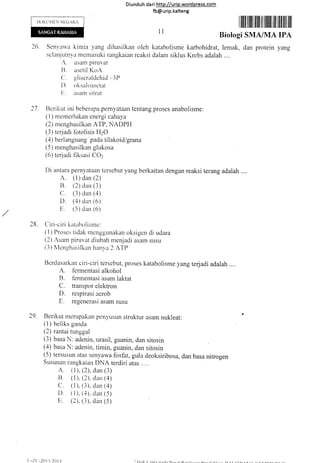 DOKIJIIFN NLTGARA
Diund uh da ri http://urip.word press.com
fb@urip.kalteng
r ffiilililil ilil ilt ilffiil ilililfi ilil ilt
Biologi SMA/MA IPA
Seny'arva kimia yang dihasilkan oleh katabolisme karbohidrat, lemak, dan protein yang
selanjutnya memasuki rangkaian reaksi dalam siklus Krebs adalah ....
A. asam piruvat
B. asetil KoA
C. gliseraldehid -3t'}
D. oksaloasctat
tr. rrsarr sitrat
Ilerikut ini beberapa pernyataan tentang proses anabolisme:
( 1) mcmerlukan cnergi cahaya
(2) menghasilkan ATP. NADPF{
(3) terjadi ltrtolisis FIzO
(4) berlangsung pada tilakoid/grana
(5) menghasilkan glukosa
(6) terjadi flksasi COz
Di antara pernyataan tersebut yang berkaitan dengan reaksi terang adalah
A. (l) dan (2)
B. (2) dan (3)
C (3) dan (a)
D. (a) dan (6)
[r. (5) dan (6)
28. Ciri-ciri katabolisrne:
( I ) Proses tidak menggunakan oksigen di udara
(2) Asam piruvat diubah rnenjadi asam susu
(3) Vlcnsl-ras;ilkan hanva 2 ATP
Bcrdasarkan ciri-ciri tersebut, proses katabolisme yang terjadi adalah
A. t'ermentasi alkohol
B. f'ermentasi asam iaktat
C. transpor elektron
D. respirasi aerob
E. regenerasi asam susu
29. Berikut merupakan penyusun struktur asam nukleat:
(1) heliks ganda
(2) rantai tunggal
(3) basa N: adenin, urasil, guanin, dan sitosin
(4) basa N: adenin, timin, guanin, dan sitosin
(5) tersusun atas senvawa fosfat, gula deoksiribosa, dan basa nitrogen
Susunan rangkaian DNA terdiri atas ....
A. ( 1), (2), dan (3)
tl. ( 1), (2), dan (4)
C. ( I ). (3), dan (4)
D. (1), (.+). dan (5)
E. (2), (3). dan (5)
l1
26
2l
tr-l( -2()ll,'20l-l
 