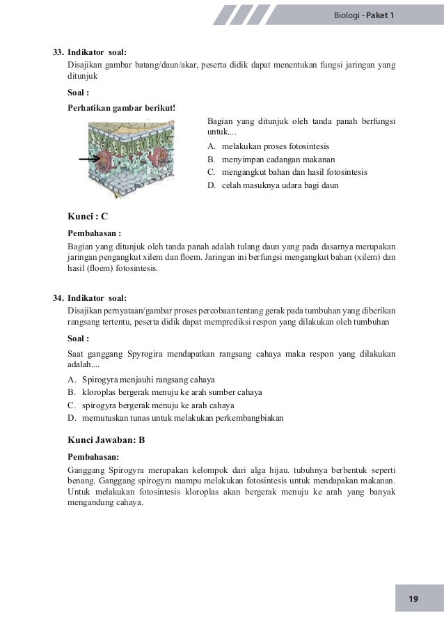 Fungsi Bagian Yang Ditunjuk Huruf X Adalah - Berbagai ...
