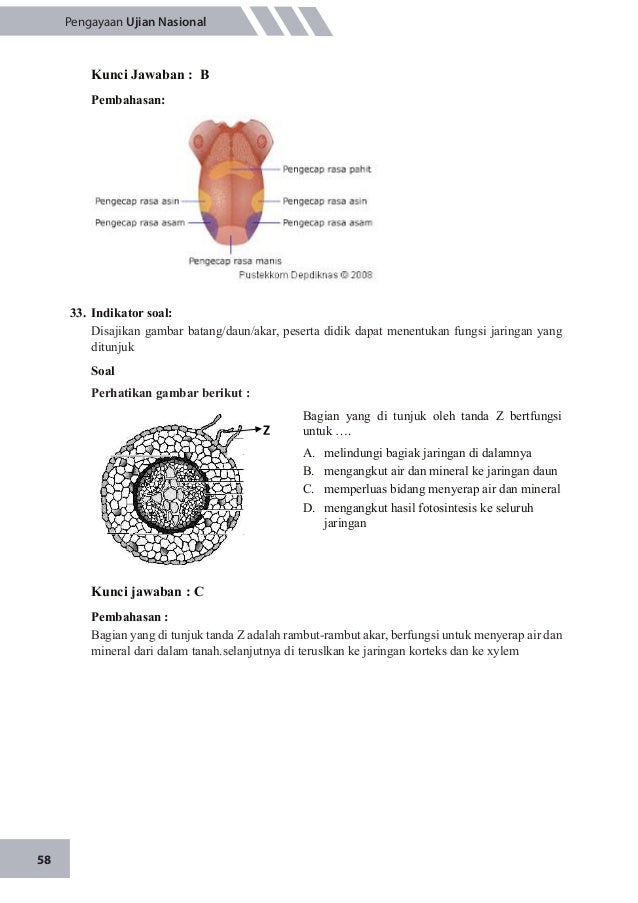 Un Biologi Smp 2015