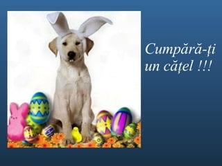 Cump ă r ă - ţ i un c ăţel  !!! 