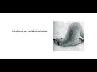 Y tan sólo ponerte en marcha te parece imposible. 