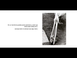 En un mal día te puedes poner paranoico y creer que todos estan detrás de ti. (aunque esto no siempre sea algo malo.) 