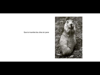 Que te muerdes las uñas sin parar 