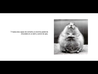 Y hasta eres capaz de comerte un enorme pastel de chocolate en un abrir y cerrar de ojos. 