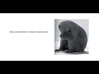 Estas a punto de llorar y no sabes ni siquiera por qué. 