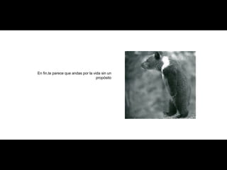 En fin,te parece que andas por la vida sin un propósito 