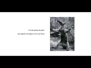 Y te dan ganas de gritar: !que alguien me pegue un tiro, por favor¡ 