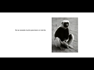 No se necesita mucho para tener un mal día . 