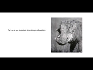 Tal vez, te has despertado sintiendo que no luces bien, 