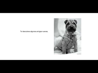 Te descubres algunas arrúgas nuevas, 