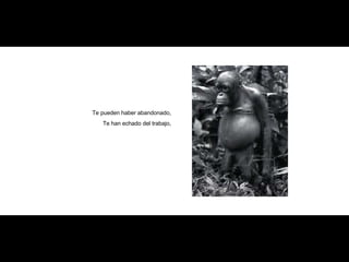 Te pueden haber abandonado, Te han echado del trabajo, 