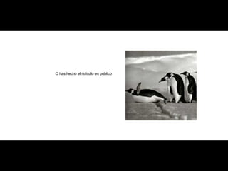 O has hecho el ridículo en público 