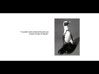 Te pueden estar presionando para que ocupes el lugar de alguien, 