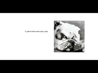 Tu jefe te tiene entre ceja y ceja, 