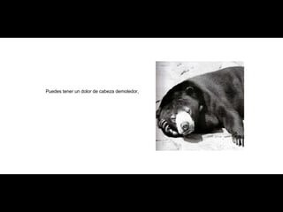 Puedes tener un dolor de cabeza demoledor, 