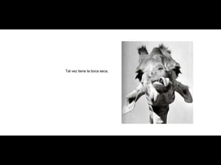 Tal vez tiene la boca seca, 