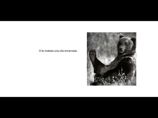 O te molesta una uña encarnada. 