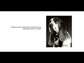 Cualquiera sea la razón,estás convencido de que alguien,allí arriba no te quiere 