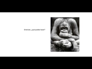 Entonces, ¿qué puedes hacer? 