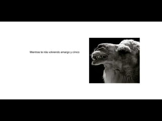 Mientras te irás volviendo amargo y cínico 