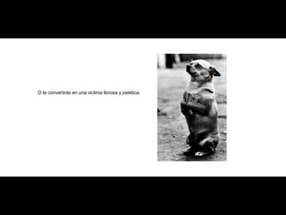 O te convertirás en una victima llorosa y patética. 