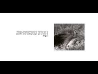 Hasta que te deprimas de tal manera que te acuestes en el suelo y rueges que la tierra te trague. 