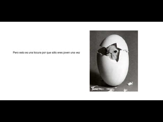 Pero esto es una locura por que sólo eres joven una vez 