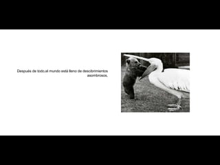 Después de todo,el mundo está lleno de descibrimientos asombrosos, 