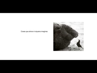 Cosas que ahora ni siquiera imaginas 