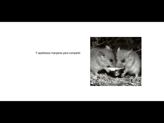 Y apetitosos manjares para compartir 