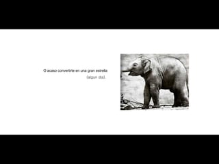 O acaso convertirte en una gran estrella (algun dia).  