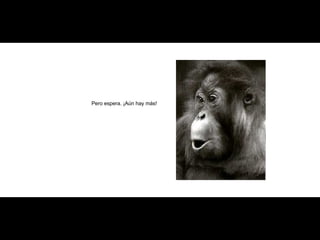 Pero espera. ¡Aún hay más! 