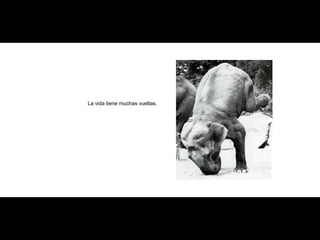 La vida tiene muchas vueltas, 